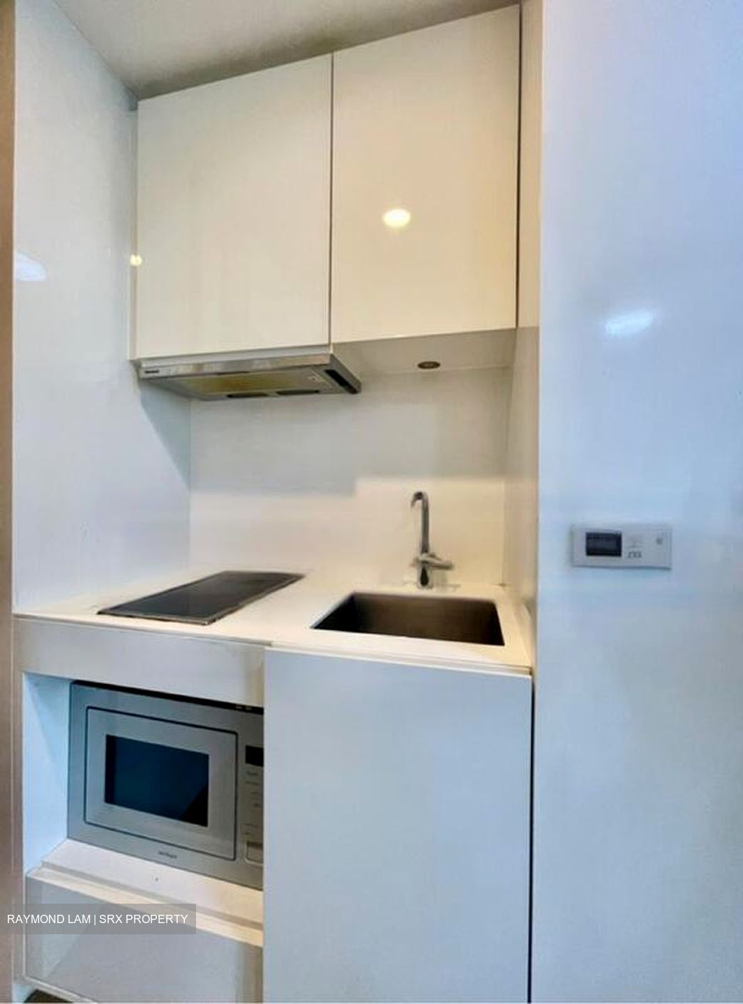 Skysuites@Anson (D2), Apartment #453363471